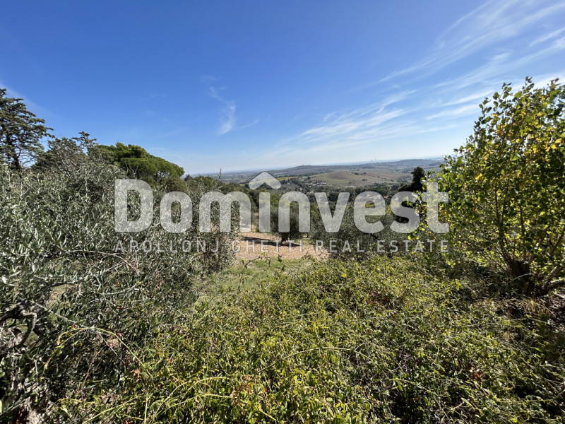 Immagine 3 di Villa in vendita  in Via Muratella a Capalbio