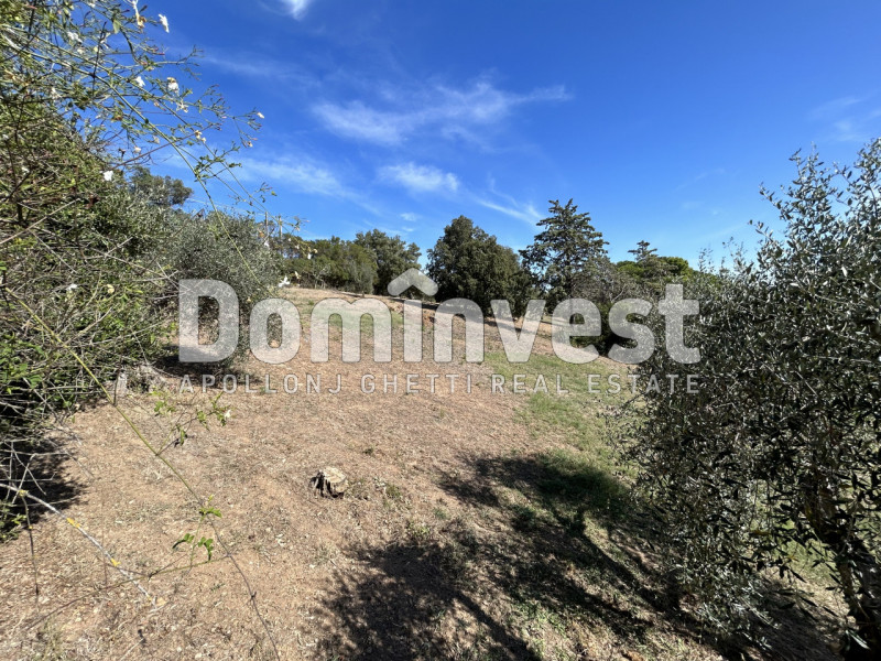 Immagine 19 di Villa in vendita  in Via Muratella a Capalbio