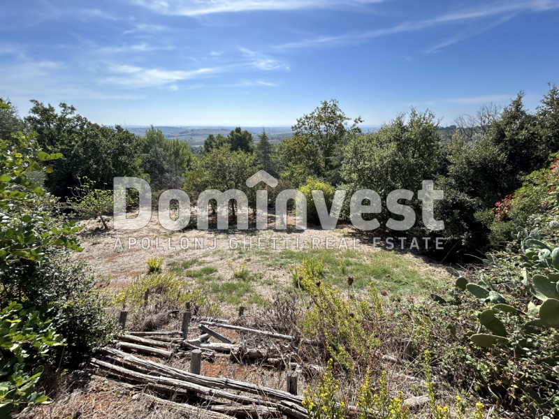 Immagine 37 di Villa in vendita  in Via Muratella a Capalbio