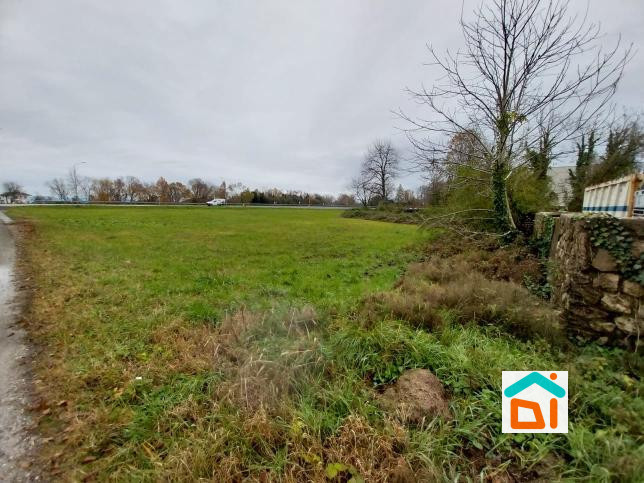 Immagine 12 di Terreno in vendita  in via Ramazzotti a Cervignano Del Friuli