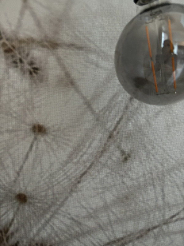 Immagine 6 di Appartamento in affitto  in VIA ROMA 32 a Colorno