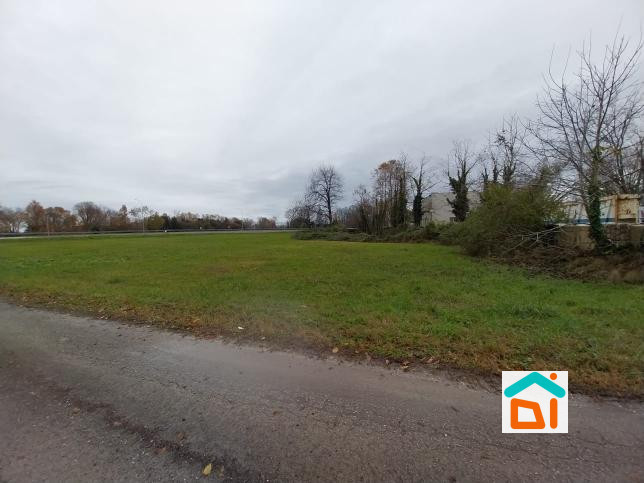 Immagine 4 di Terreno in vendita  in via Ramazzotti a Cervignano Del Friuli