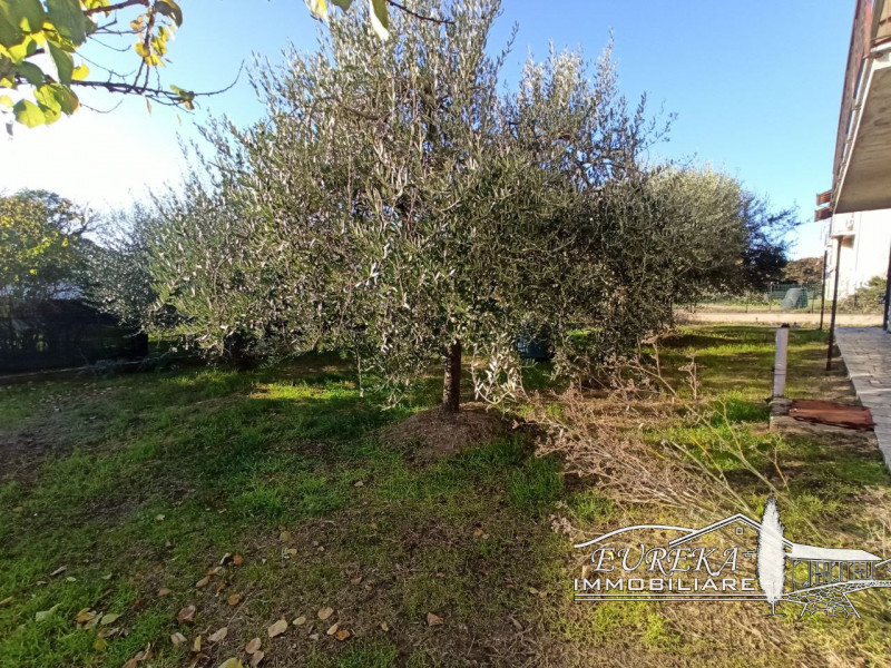 Immagine 8 di Casa indipendente in vendita  in via roma 152 a Castiglione Del Lago