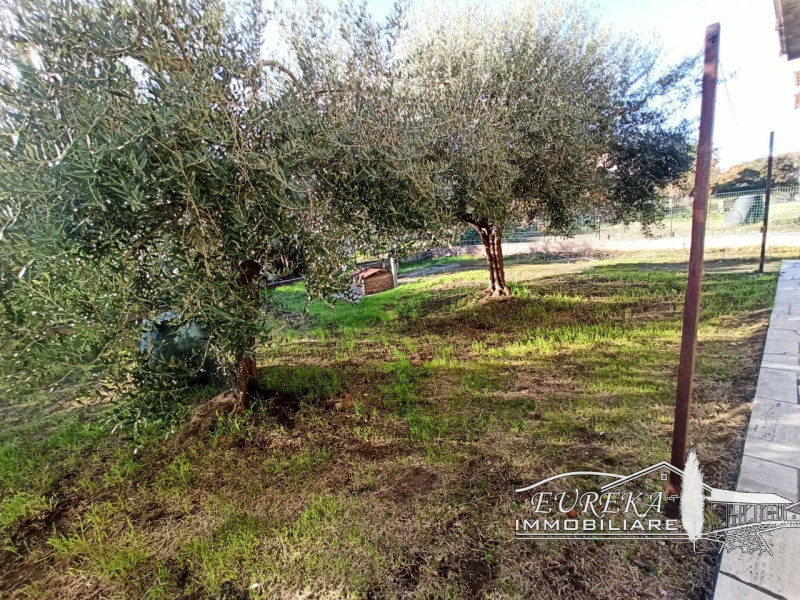 Immagine 14 di Casa indipendente in vendita  in via roma 152 a Castiglione Del Lago