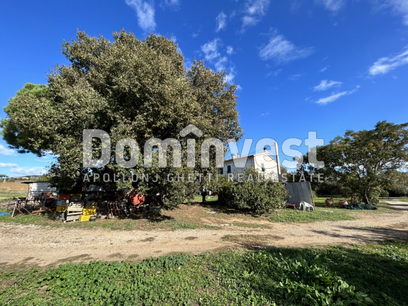 Immagine 3 di Villa in vendita  in carige alta a Capalbio