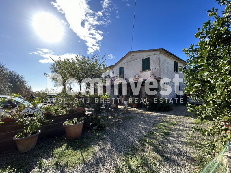 Immagine 4 di Villa in vendita  in carige alta a Capalbio