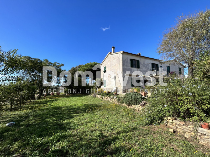 Immagine 5 di Villa in vendita  in carige alta a Capalbio