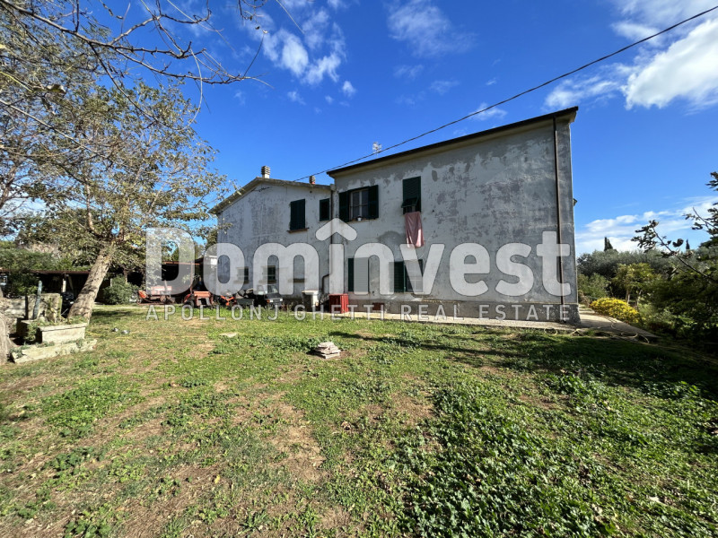 Immagine 9 di Villa in vendita  in carige alta a Capalbio