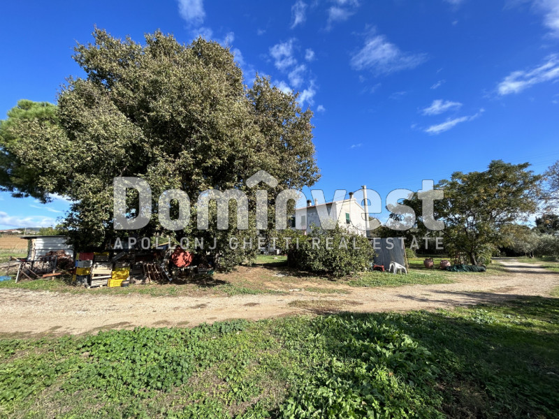 Immagine 10 di Villa in vendita  in carige alta a Capalbio