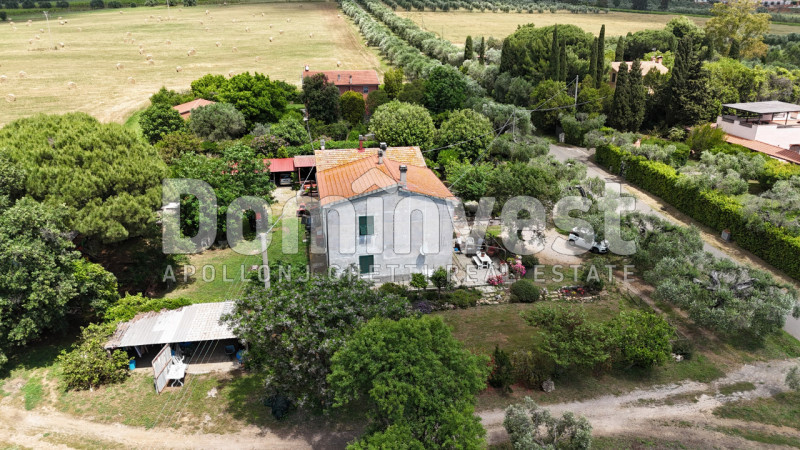 Immagine 14 di Villa in vendita  in carige alta a Capalbio
