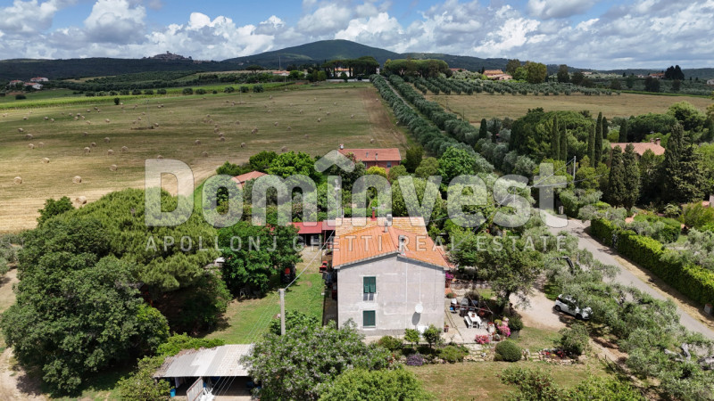 Immagine 17 di Villa in vendita  in carige alta a Capalbio