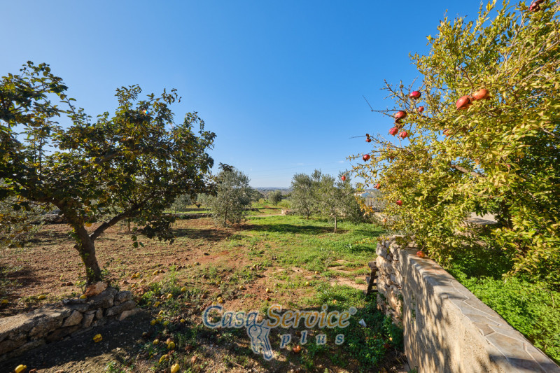 Immagine 38 di Villa in vendita  in SP360 a Taurisano