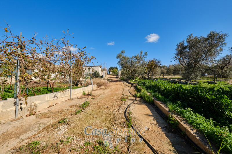 Immagine 39 di Villa in vendita  in SP360 a Taurisano