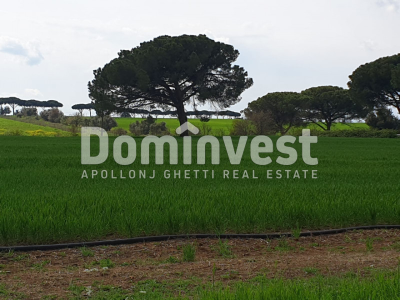 Immagine 4 di Villa in vendita  in viale della Repubblica a Marino