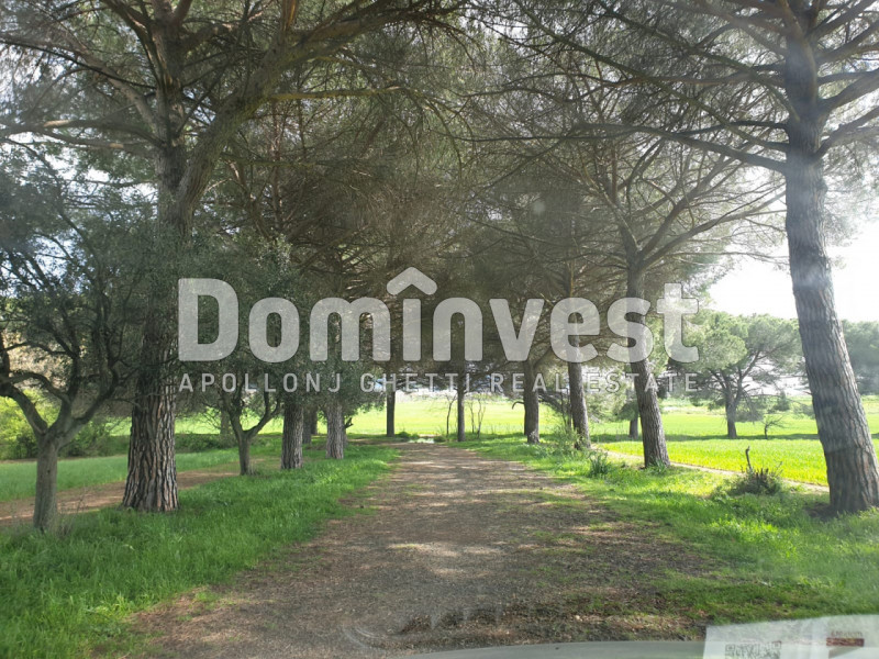 Immagine 7 di Villa in vendita  in viale della Repubblica a Marino