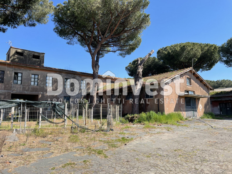 Immagine 9 di Villa in vendita  in viale della Repubblica a Marino