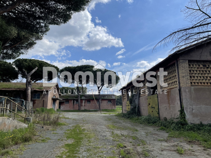 Immagine 10 di Villa in vendita  in viale della Repubblica a Marino