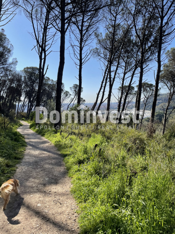 Immagine 20 di Villa in vendita  in viale della Repubblica a Marino