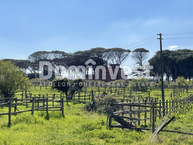 Immagine 24 di Villa in vendita  in viale della Repubblica a Marino