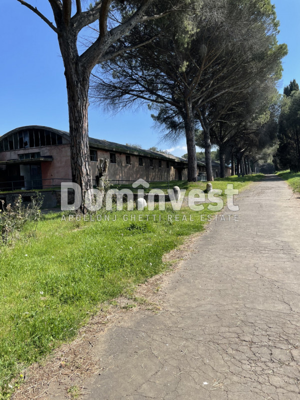 Immagine 27 di Villa in vendita  in viale della Repubblica a Marino