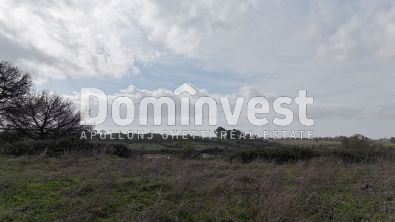 Immagine 41 di Villa in vendita  in viale della Repubblica a Marino