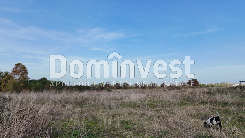 Immagine 47 di Villa in vendita  in viale della Repubblica a Marino