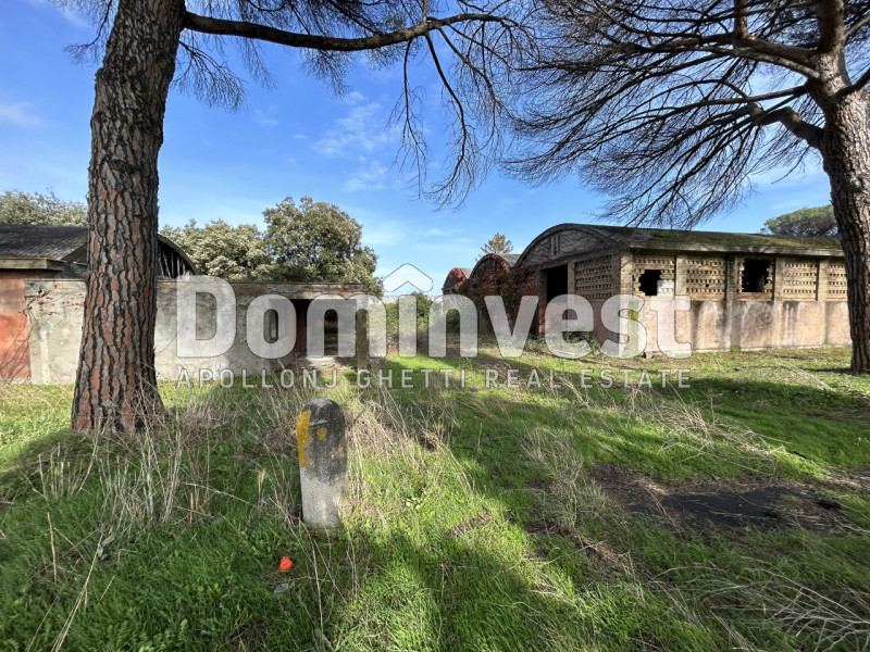 Immagine 48 di Villa in vendita  in viale della Repubblica a Marino