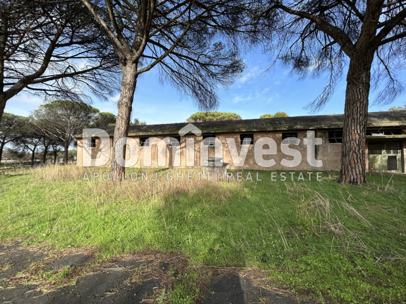 Immagine 50 di Villa in vendita  in viale della Repubblica a Marino