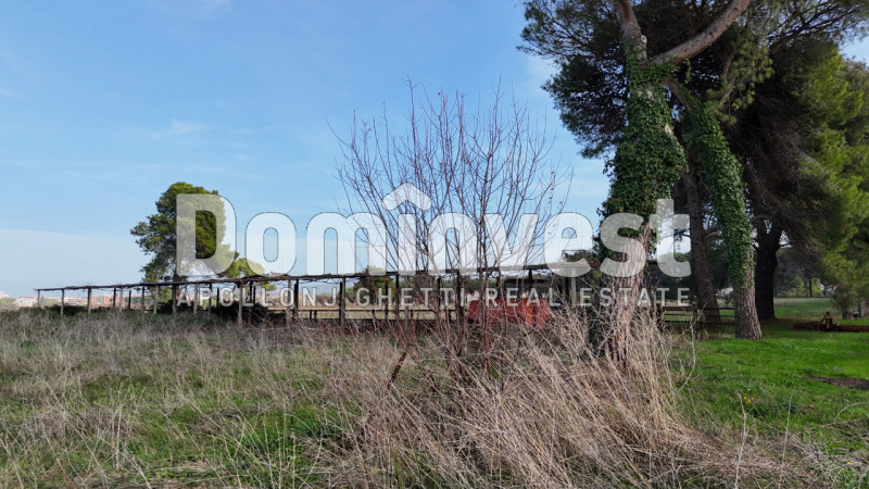 Immagine 51 di Villa in vendita  in viale della Repubblica a Marino