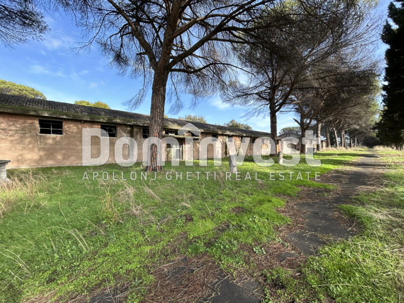 Immagine 52 di Villa in vendita  in viale della Repubblica a Marino