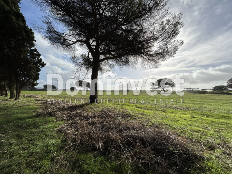 Immagine 53 di Villa in vendita  in viale della Repubblica a Marino