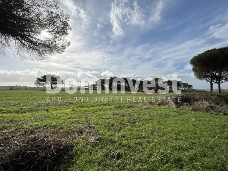 Immagine 54 di Villa in vendita  in viale della Repubblica a Marino