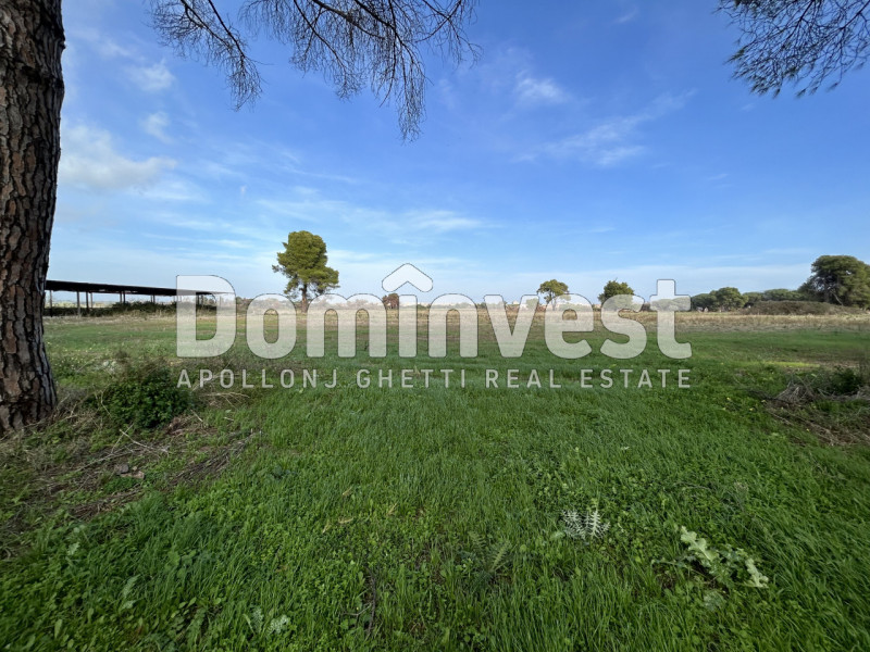 Immagine 61 di Villa in vendita  in viale della Repubblica a Marino