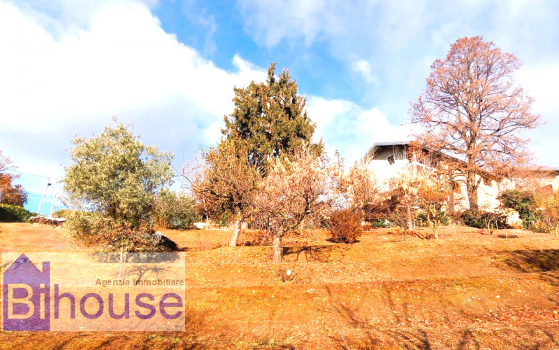 Immagine 2 di Villa in vendita  in cutra a Masserano