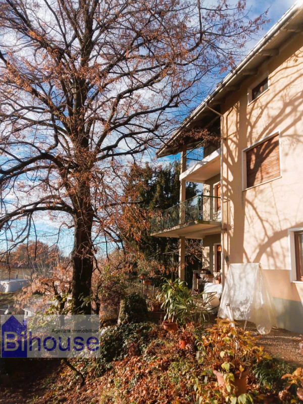 Immagine 9 di Villa in vendita  in cutra a Masserano