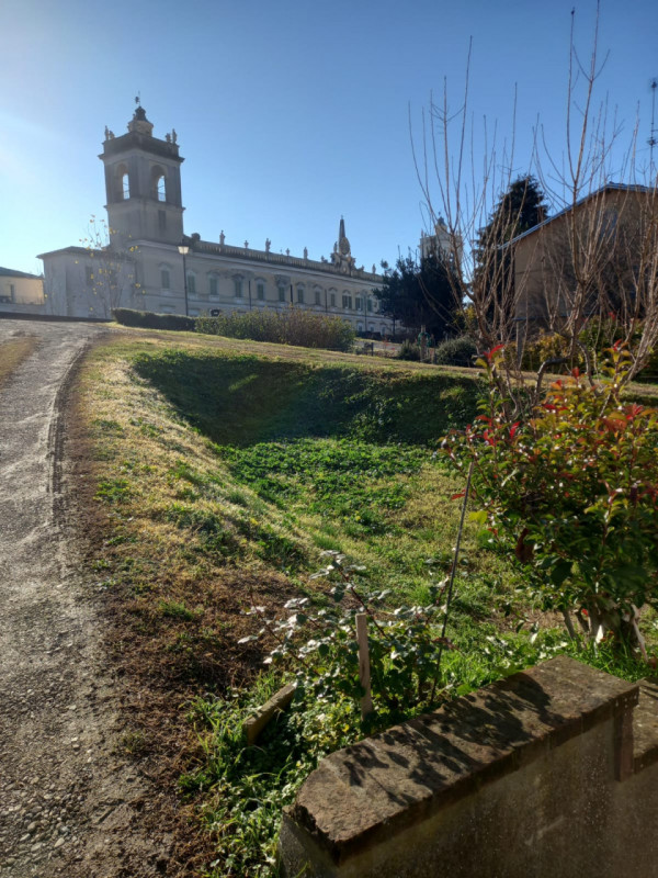 Immagine 17 di Appartamento in affitto  in via Mentana 21 a Colorno