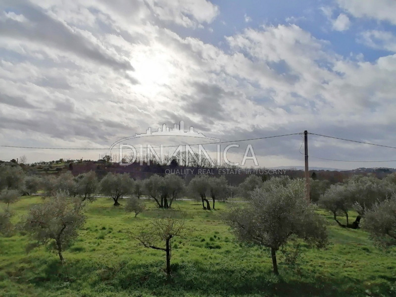 Immagine 7 di Rustico / casale in vendita  a Santa Maria A Monte