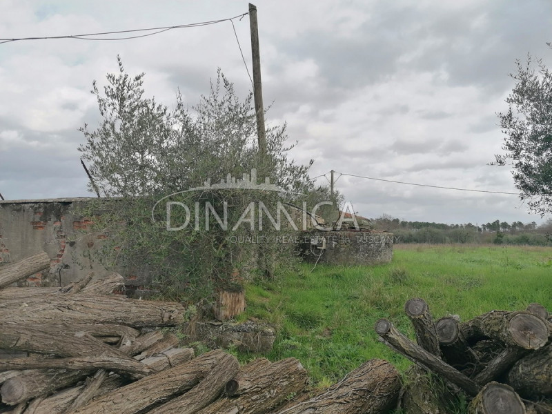 Immagine 13 di Rustico / casale in vendita  a Santa Maria A Monte