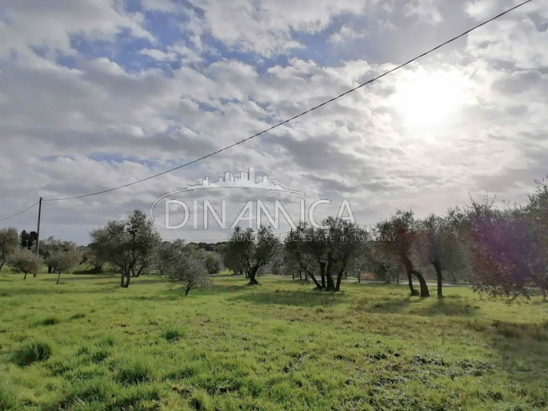 Immagine 14 di Rustico / casale in vendita  a Santa Maria A Monte