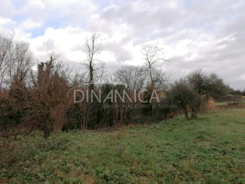 Immagine 29 di Rustico / casale in vendita  a Santa Maria A Monte