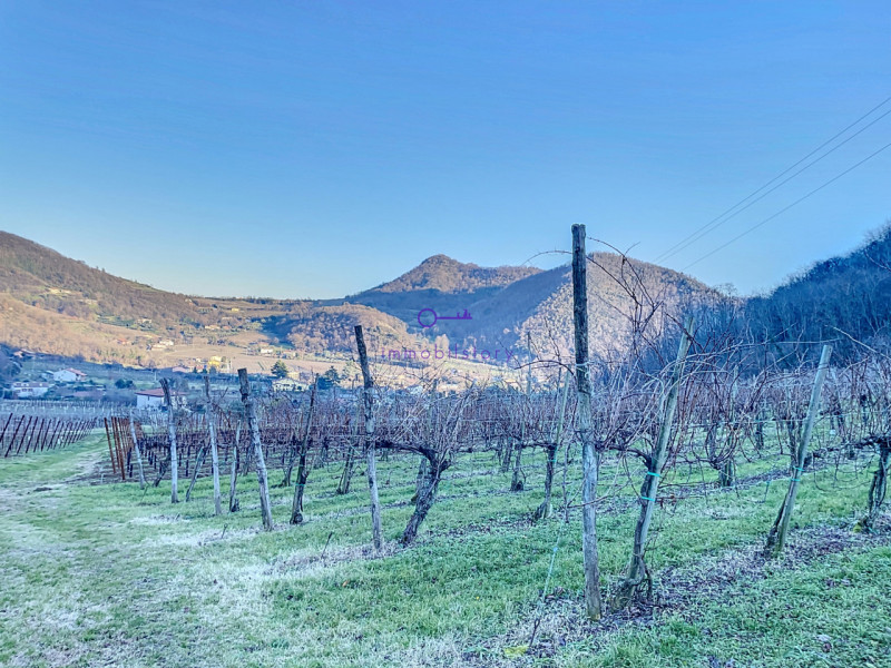 Immagine 4 di Terreno in vendita  in via regazzoni a Galzignano Terme