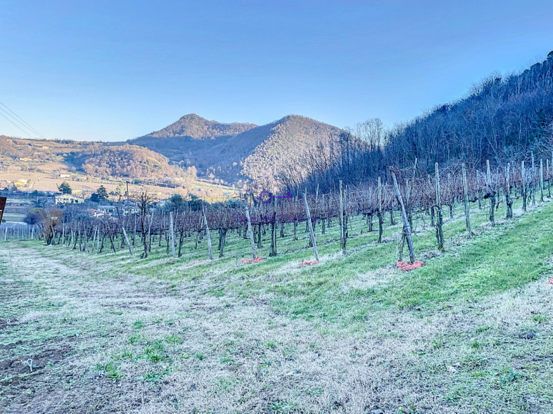 Immagine 5 di Terreno in vendita  in via regazzoni a Galzignano Terme