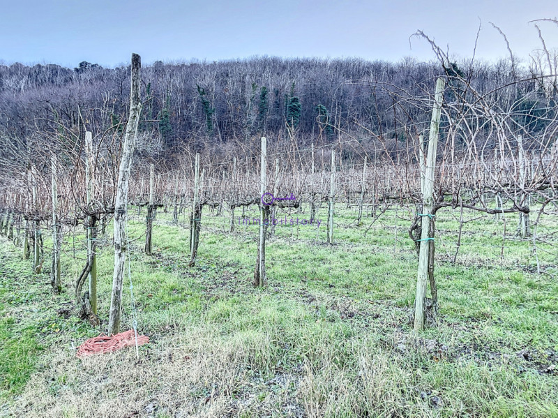 Immagine 6 di Terreno in vendita  in via regazzoni a Galzignano Terme