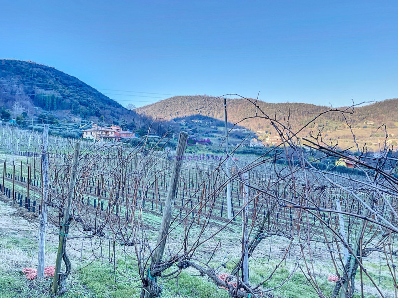 Immagine 8 di Terreno in vendita  in via regazzoni a Galzignano Terme