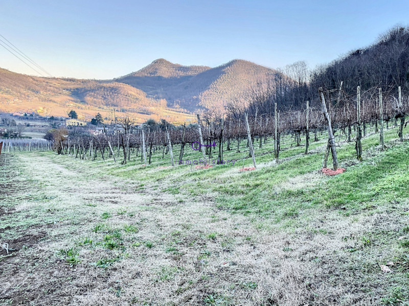 Immagine 12 di Terreno in vendita  in via regazzoni a Galzignano Terme
