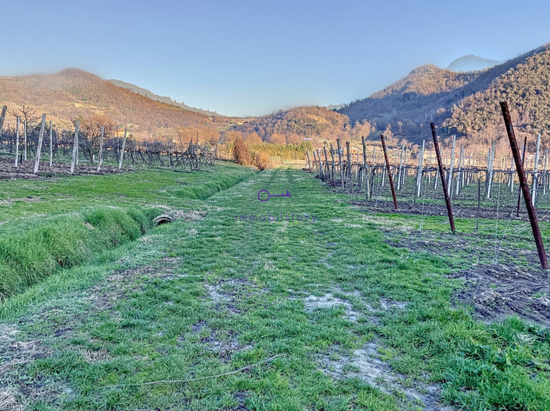 Immagine 14 di Terreno in vendita  in via regazzoni a Galzignano Terme