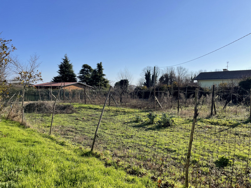 Immagine 7 di Casa indipendente in vendita  in via muratori a Solesino