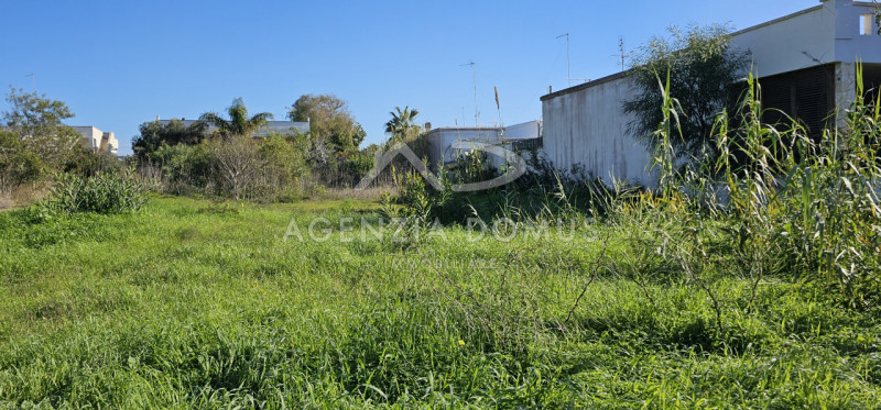 Immagine 7 di Terreno in vendita  in Via Riccione a Taviano