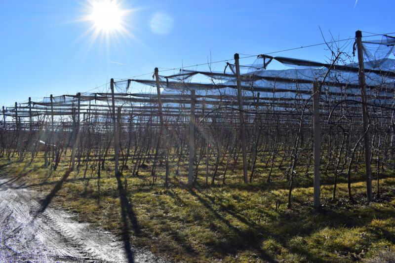 Immagine 1 di Terreno in vendita  in via Nazionale a Gargazzone .Gargazon.