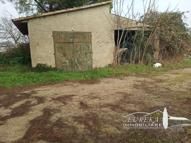 Immagine 10 di Rustico / casale in vendita  in castiglione del lago via roma 152 a Castiglione Del Lago